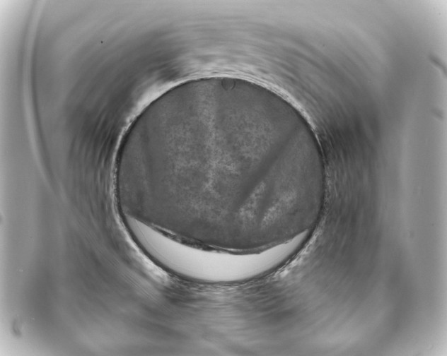 X0000095531525200712281511