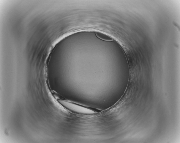 X0000095531526200712281511