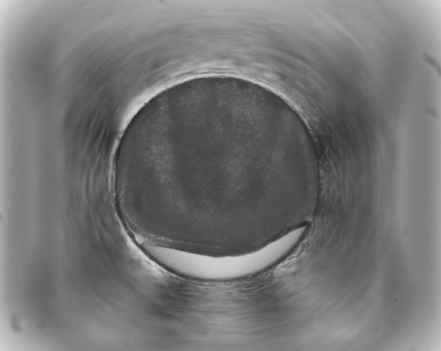 X0000095531527200712281511
