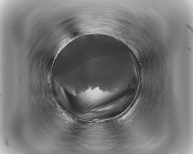 X0000095531529200712281511