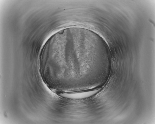 X0000095531531200712281511
