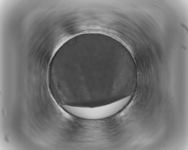 X0000095531533200712281511