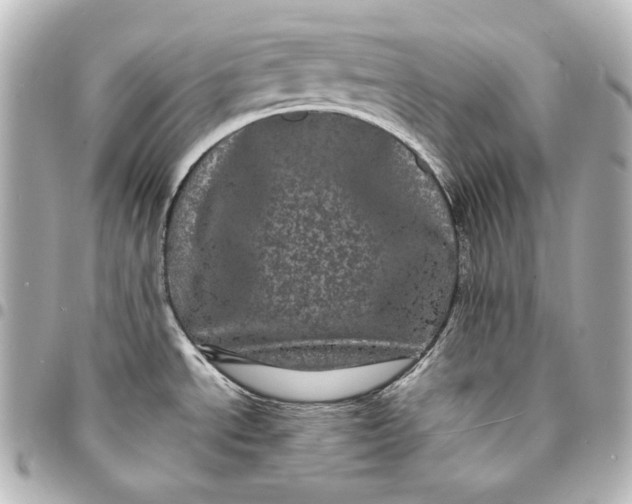 X0000095531534200712281511