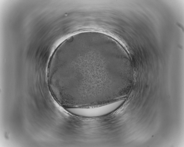 X0000095531535200712281511