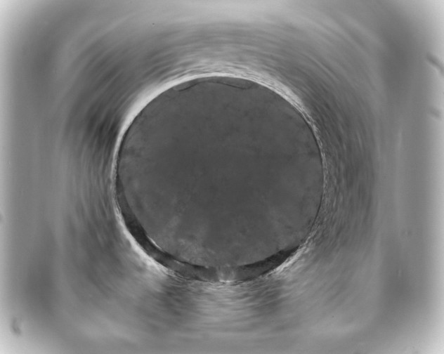 X0000095531536200712281511