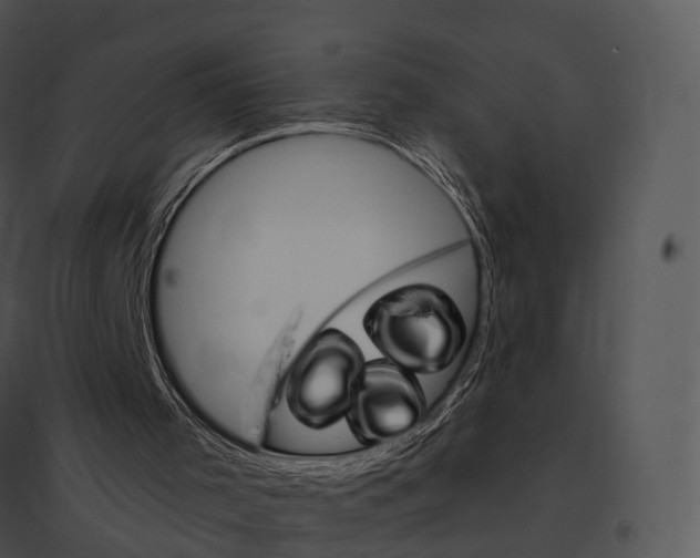 X0000095530001200801041257