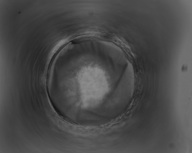 X0000095530003200801041257