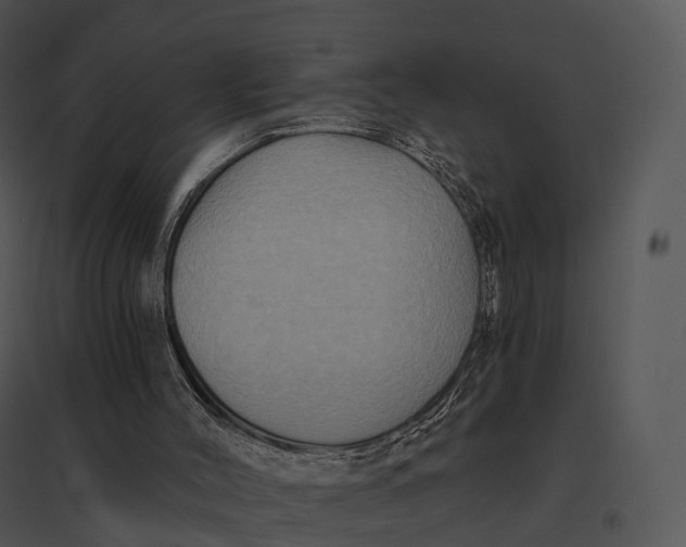 X0000095530004200801041257