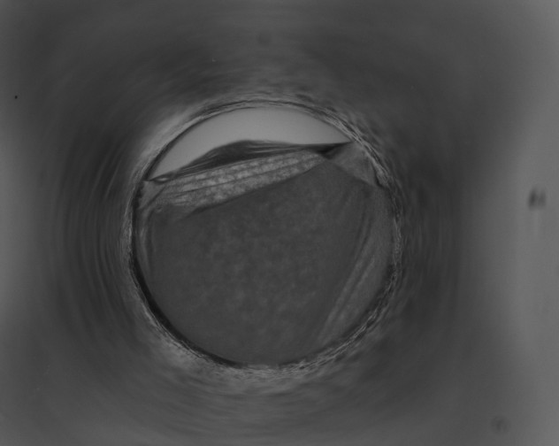 X0000095530005200801041257