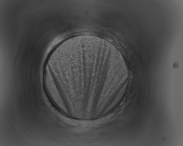 X0000095530006200801041257