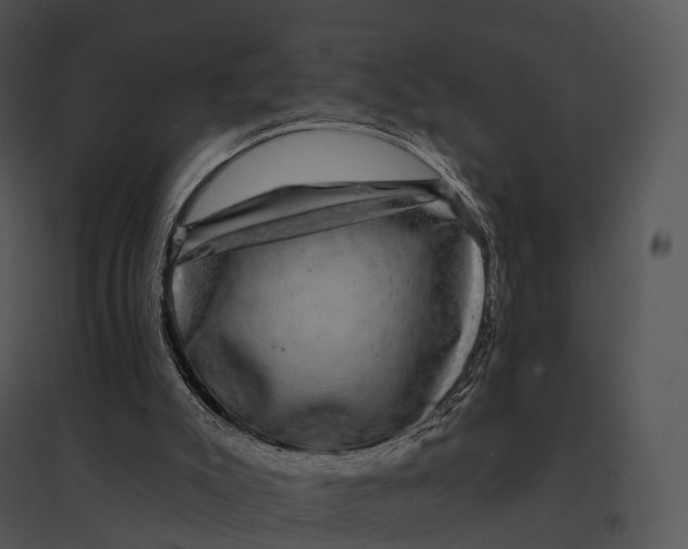 X0000095530007200801041257