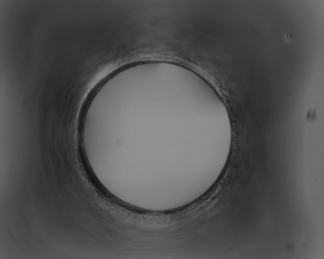 X0000095530008200801041257