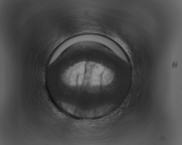 X0000095530009200801041257