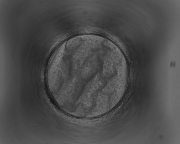 X0000095530010200801041257