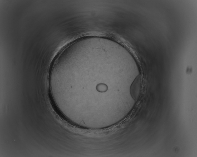 X0000095530011200801041257