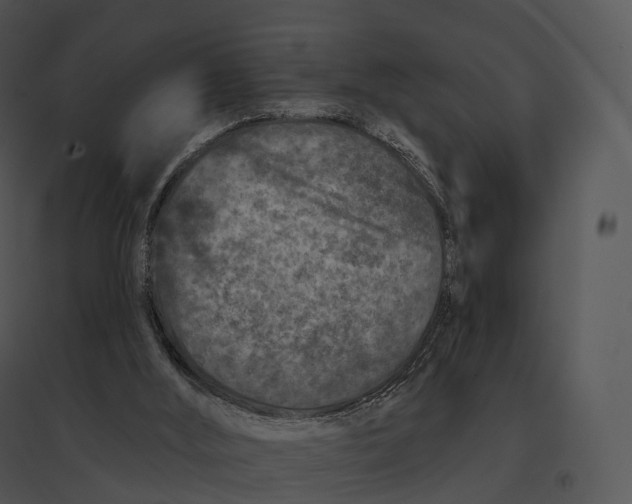 X0000095530012200801041257