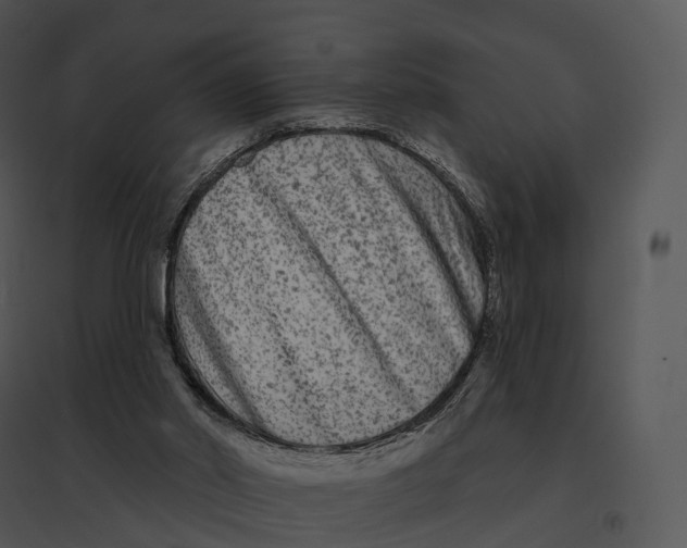 X0000095530014200801041256