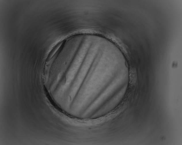 X0000095530015200801041256