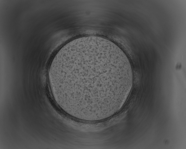 X0000095530016200801041256