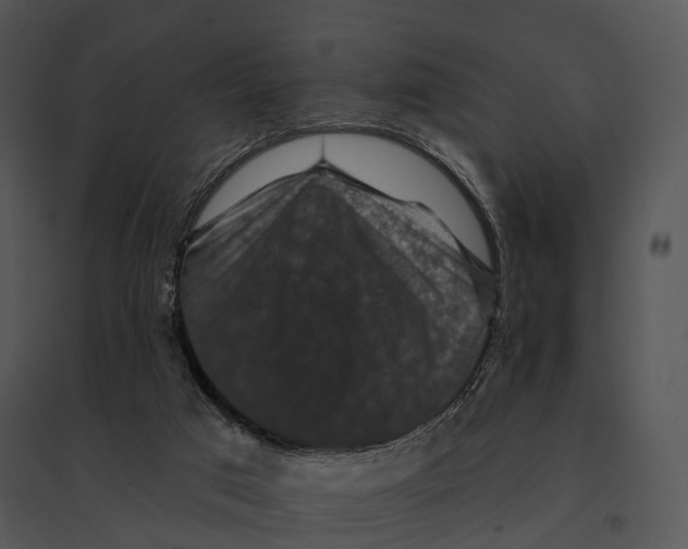 X0000095530017200801041256