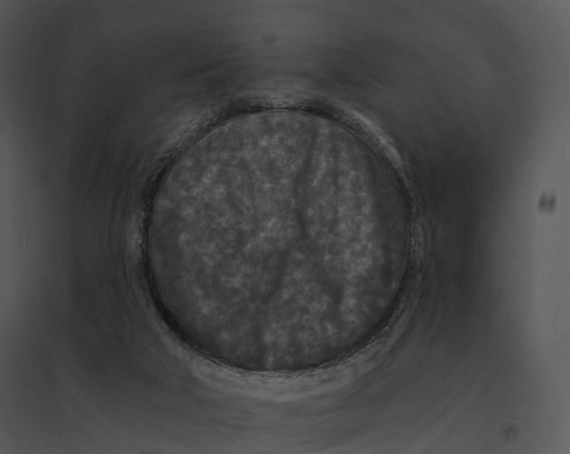 X0000095530018200801041256