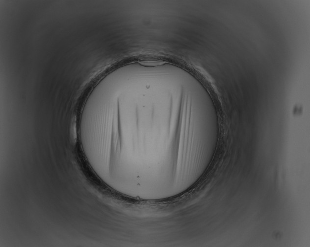 X0000095530020200801041256