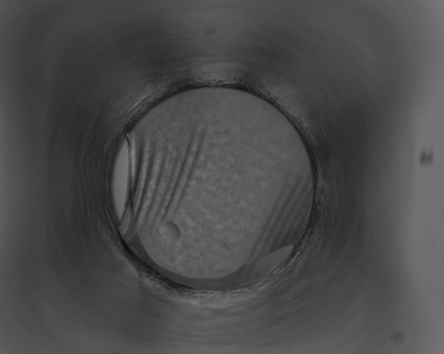 X0000095530021200801041256