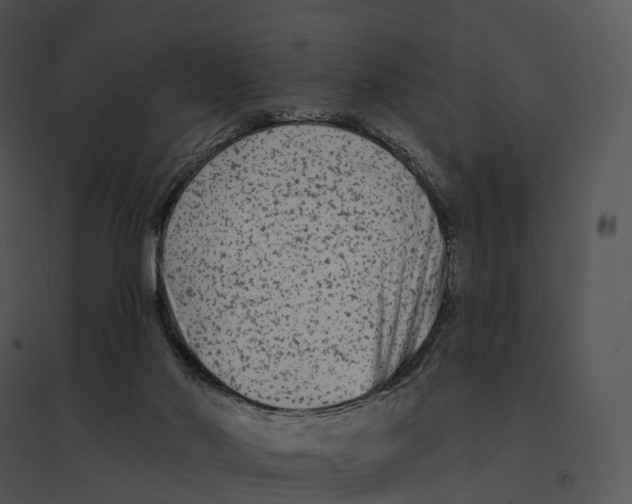 X0000095530022200801041256