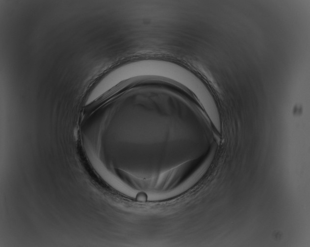 X0000095530023200801041256