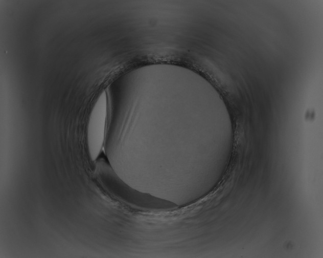 X0000095530025200801041256