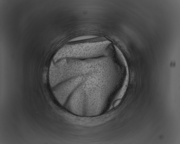 X0000095530026200801041256