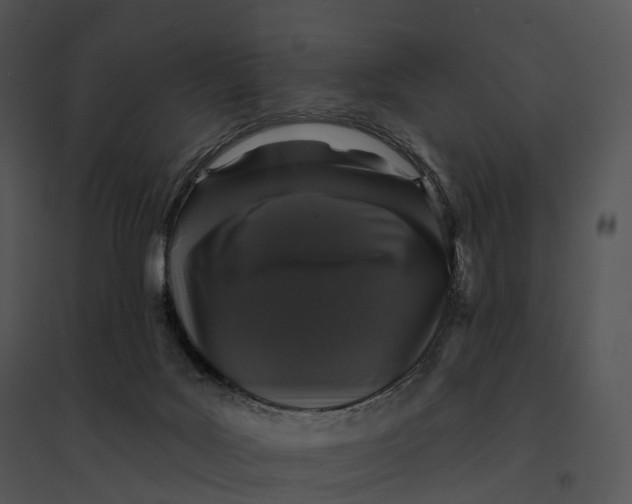 X0000095530027200801041256