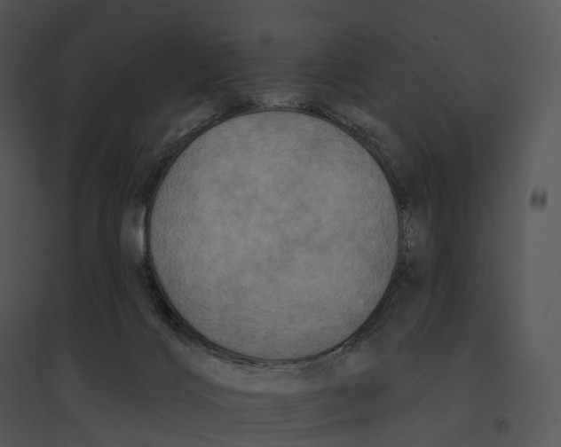 X0000095530028200801041256