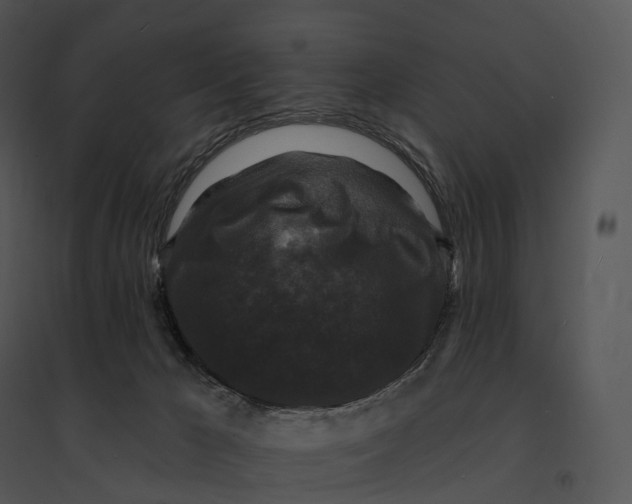 X0000095530029200801041256