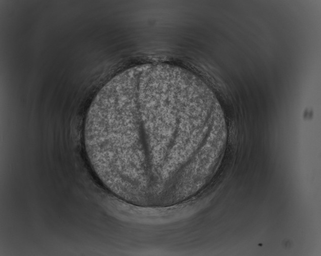 X0000095530030200801041256