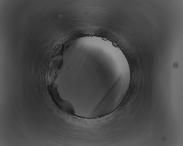 X0000095530031200801041256