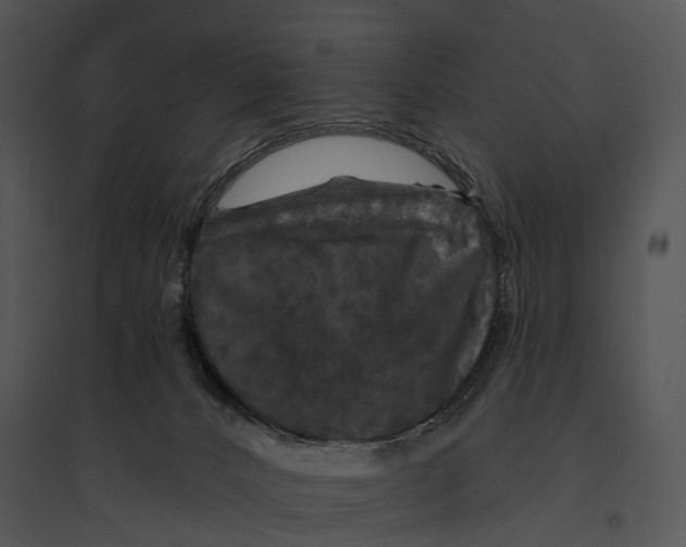 X0000095530032200801041256