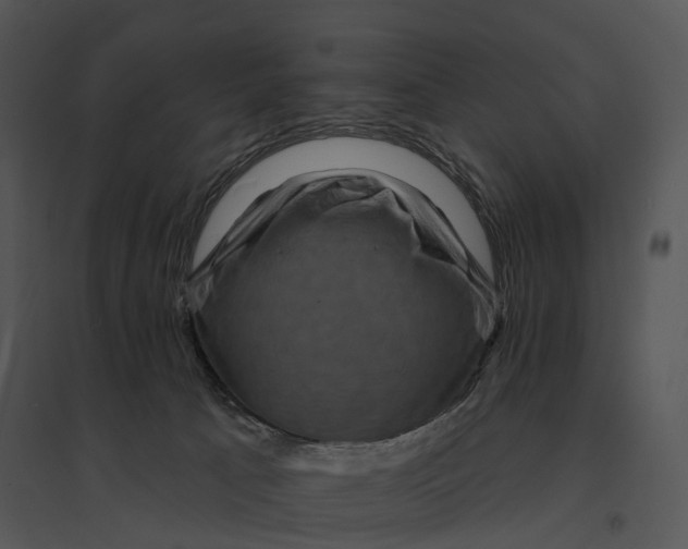 X0000095530033200801041256