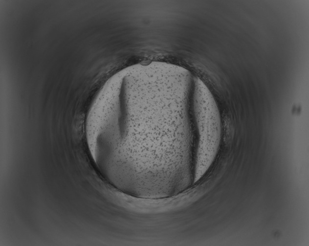 X0000095530034200801041256