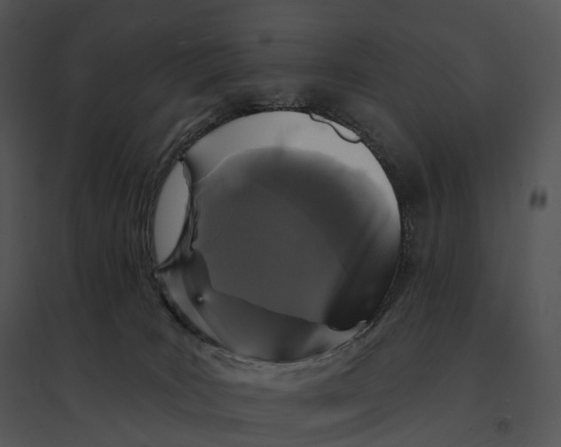 X0000095530035200801041256