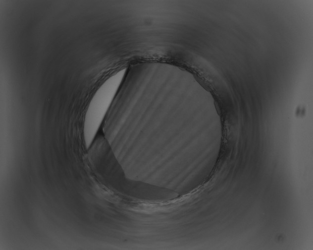 X0000095530037200801041256