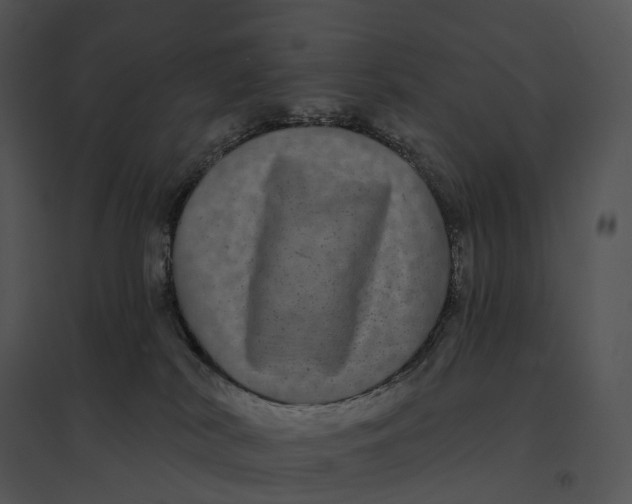 X0000095530038200801041256