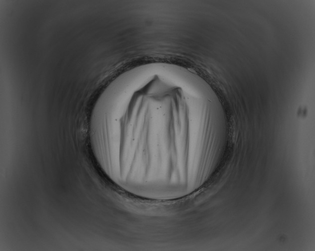 X0000095530040200801041256