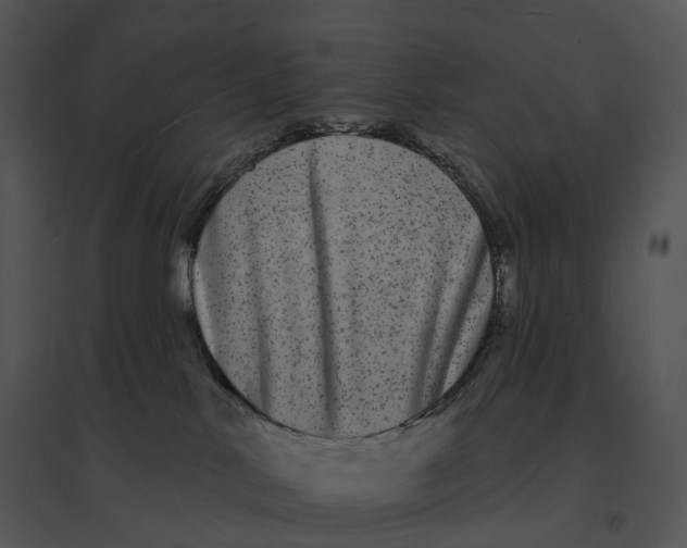 X0000095530042200801041256