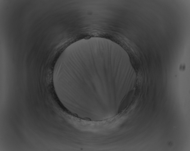 X0000095530043200801041256