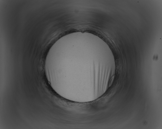 X0000095530044200801041256