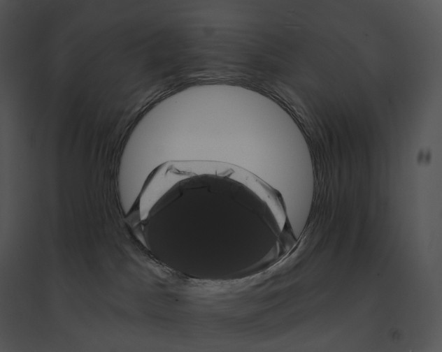 X0000095530045200801041256