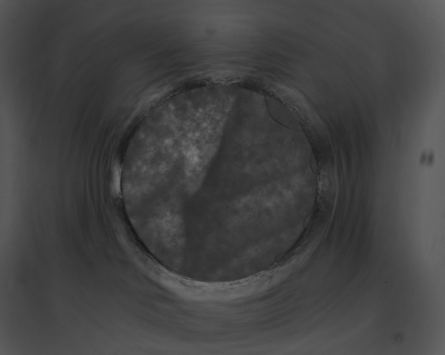 X0000095530046200801041256