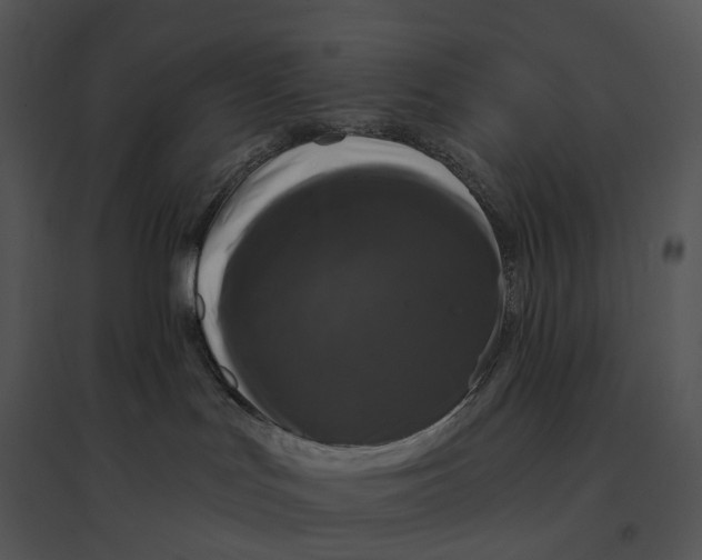 X0000095530047200801041256