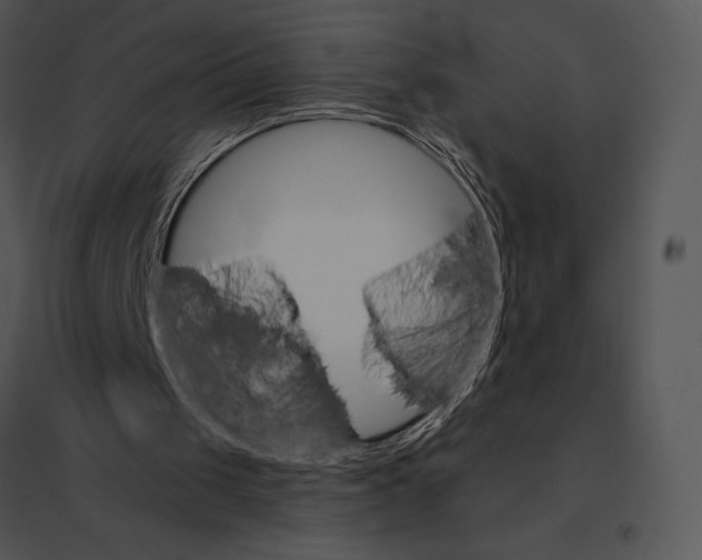 X0000095530049200801041255